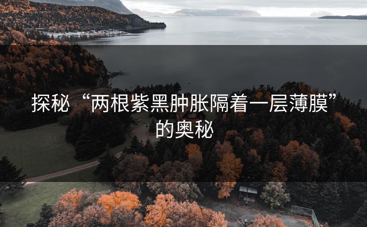 探秘“两根紫黑肿胀隔着一层薄膜”的奥秘 探秘“两根紫黑肿胀隔着一层薄膜”的奥秘
