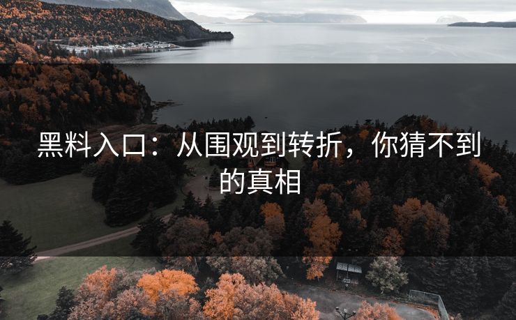 黑料入口：从围观到转折，你猜不到的真相