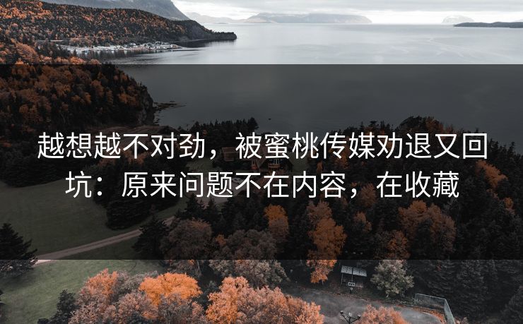 越想越不对劲,被蜜桃传媒劝退又回坑:原来问题不在内容,在收藏 越想越不对劲,被蜜桃传媒劝退又回坑:原来问题不在内容,在收藏