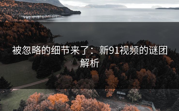 被忽略的细节来了:新91视频的谜团解析 被忽略的细节来了:新91视频的谜团解析